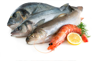 Venta Pescados Oya S.A. calidad