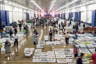 Venta Pescados Oya S.A. mayorista de pescado